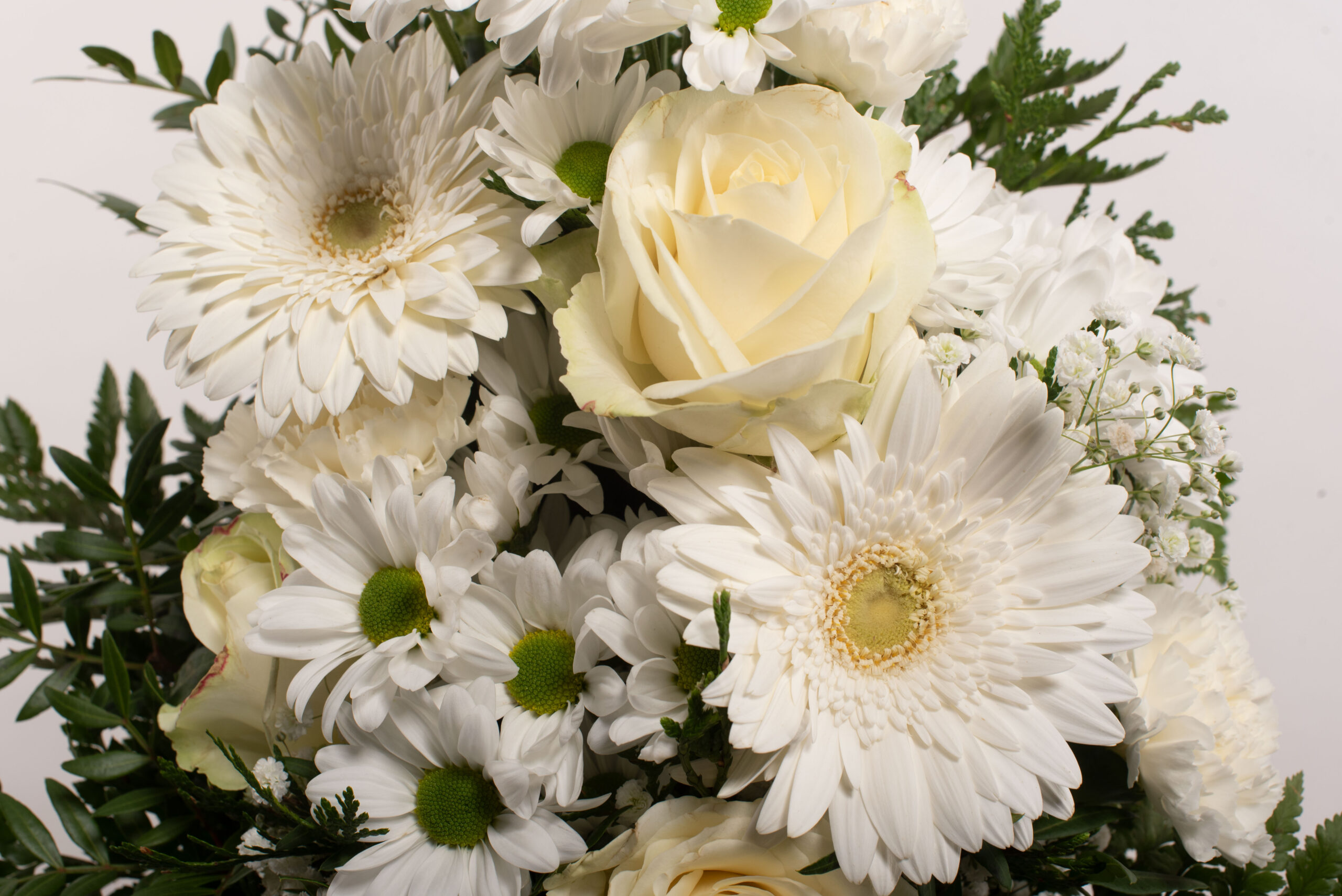 Ram de cementiri natural blanc.