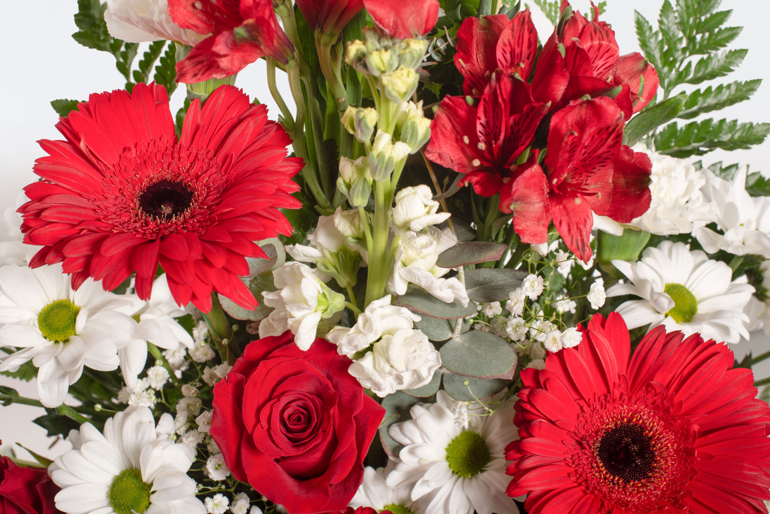 Jardinera natural blanca i vermella