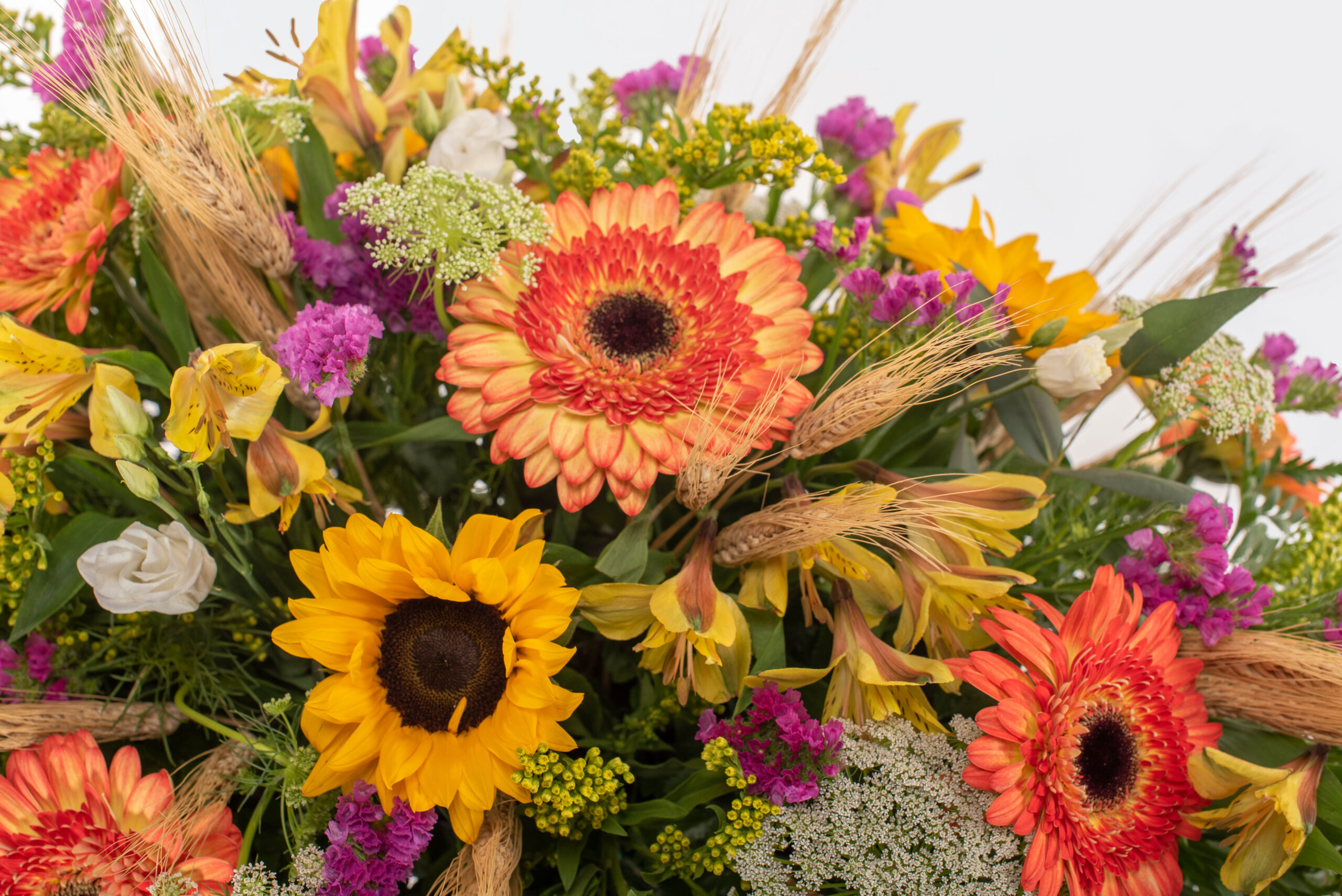 Centre gran silvestre