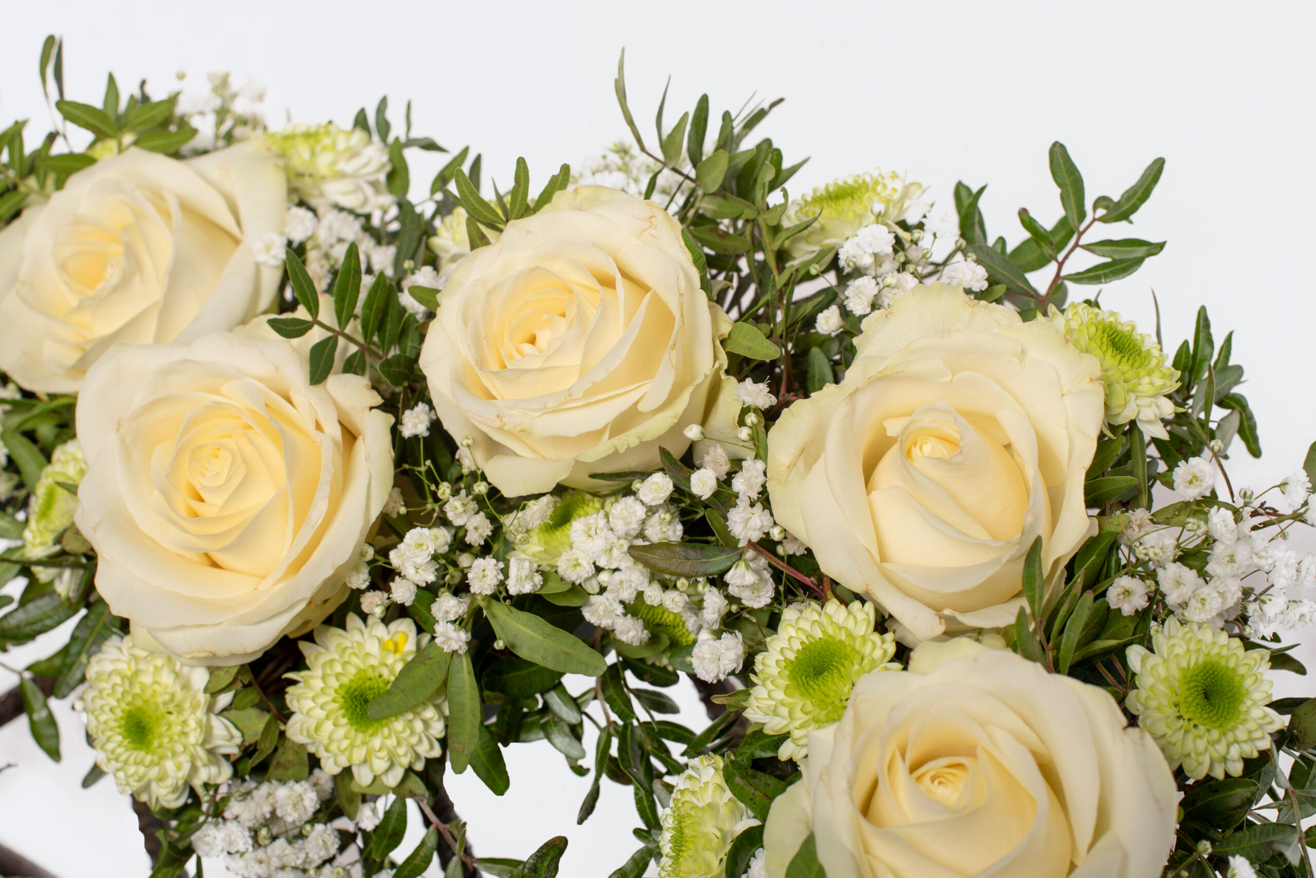 Cor de roses blanques