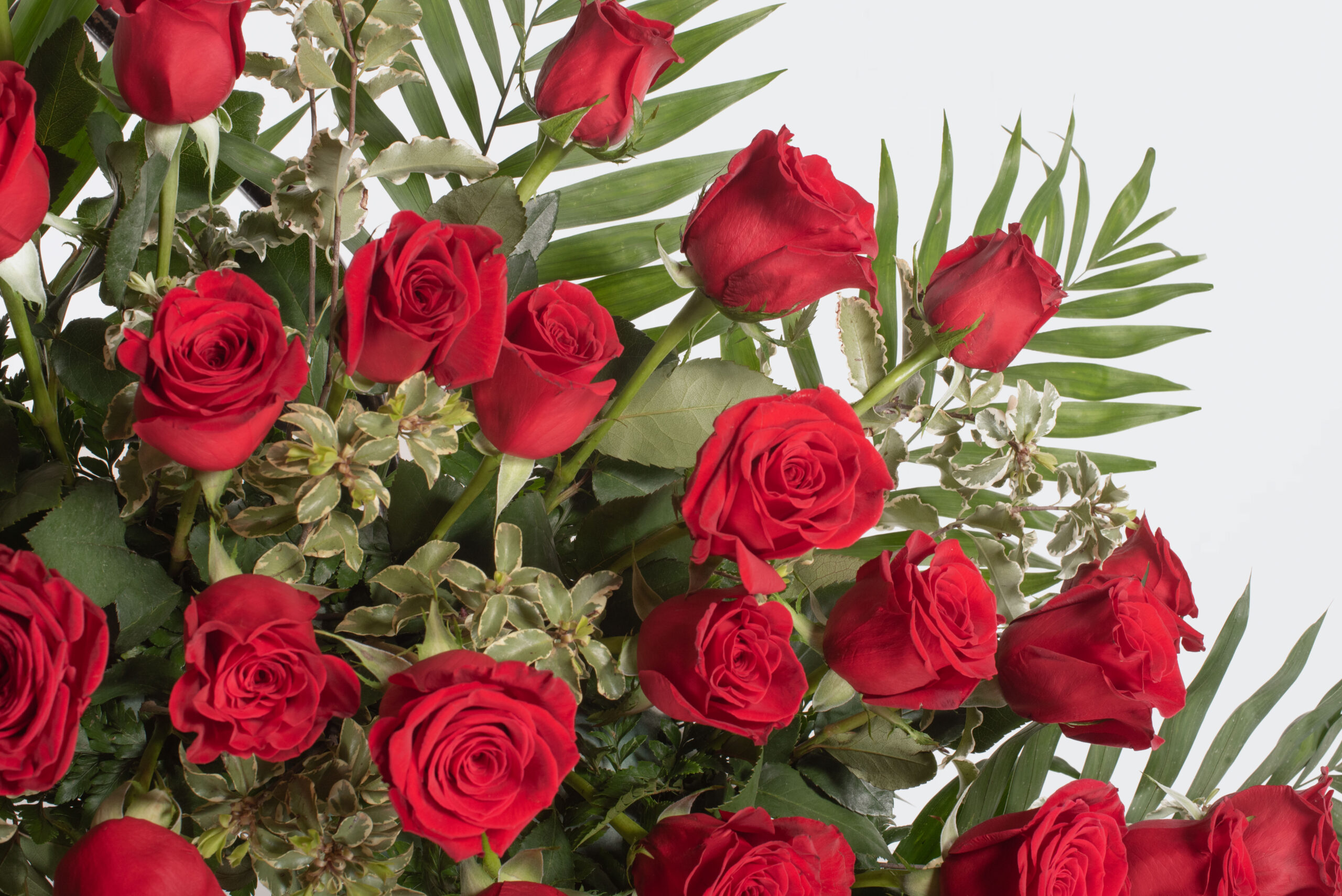 Corona gran de roses vermelles