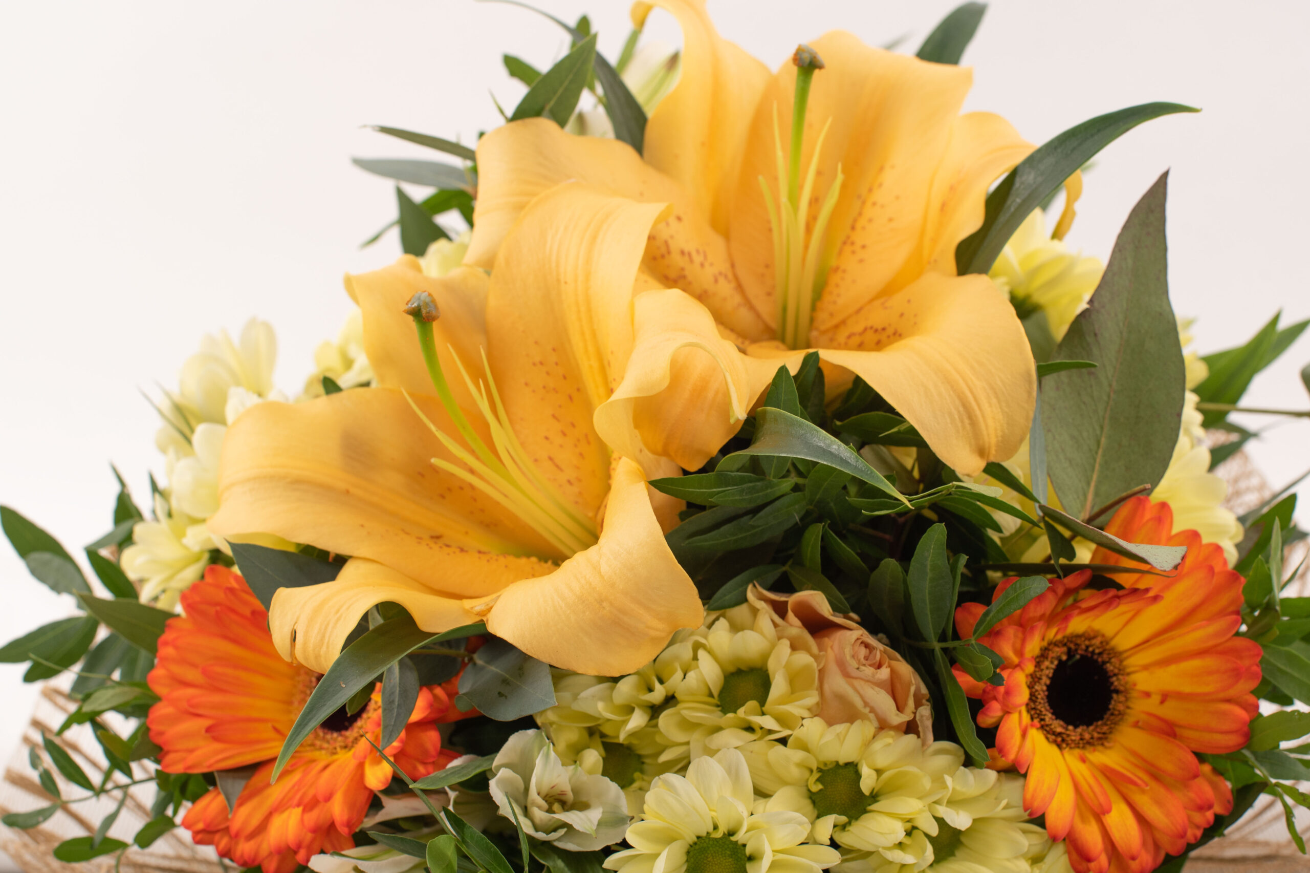 Ram petit tons càlids