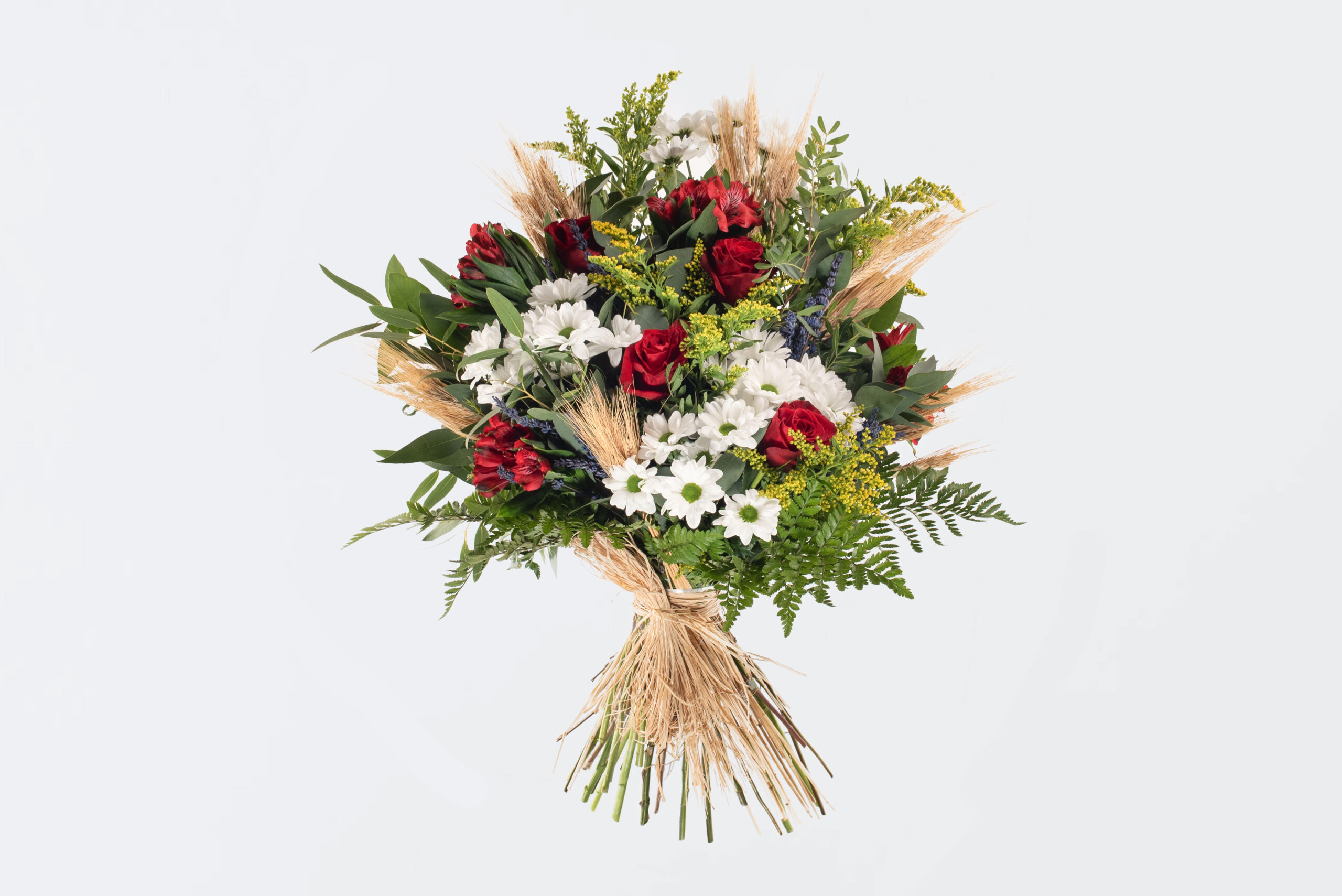 Ram mitjà silvestre