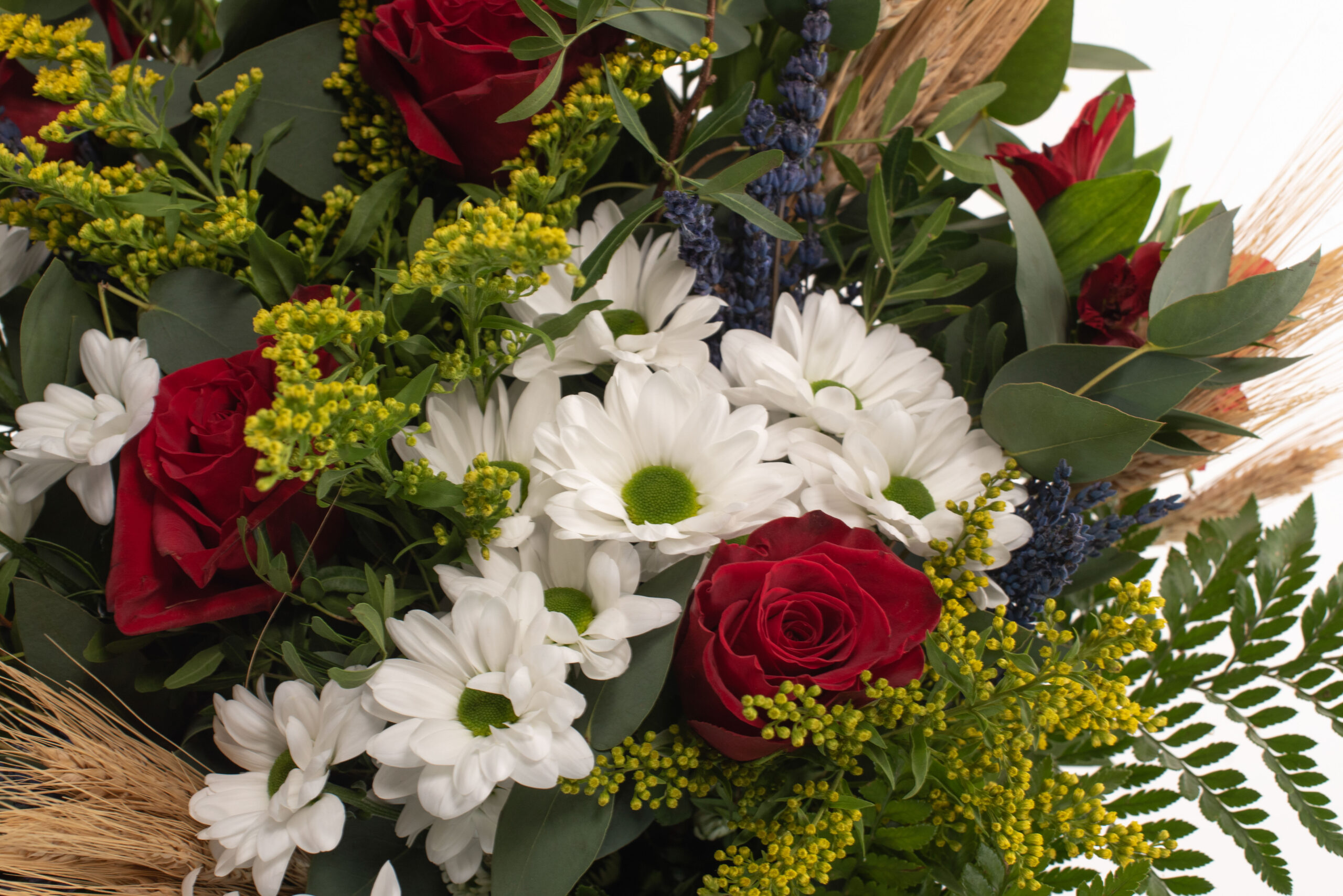 Ram mitjà silvestre