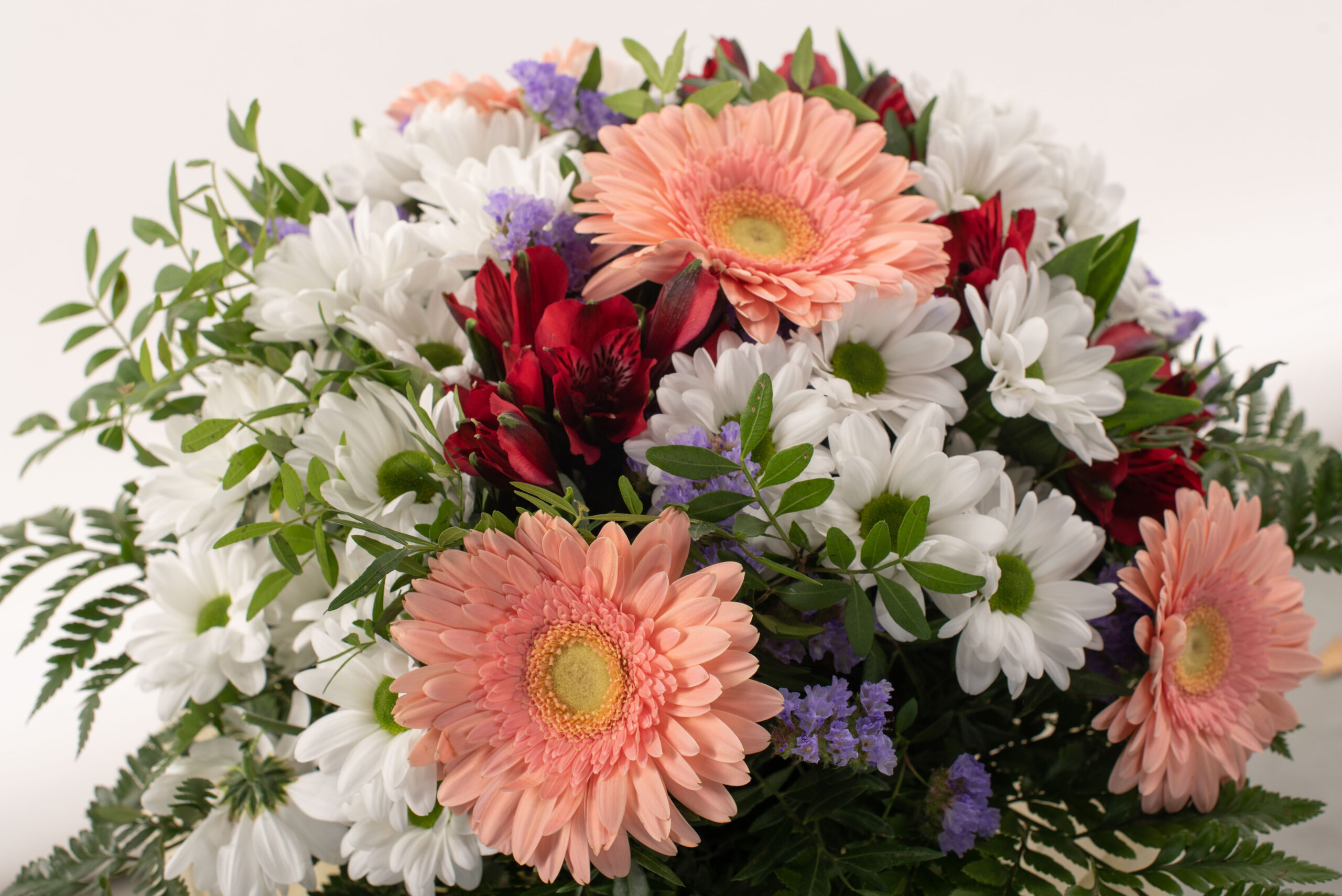 Ram petit de tons freds